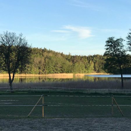 Nice Holiday House At Horse Farm With Lake And Sauna Holo  Exterior foto